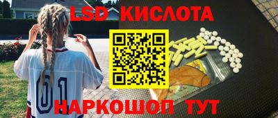 хмурый Сланцы