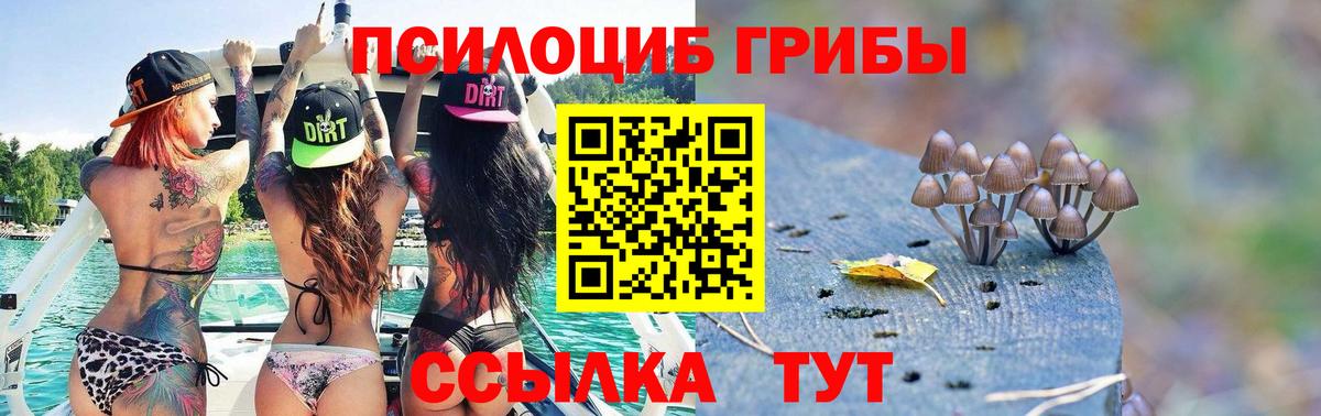 Галлюциногенные грибы Cubensis Псков