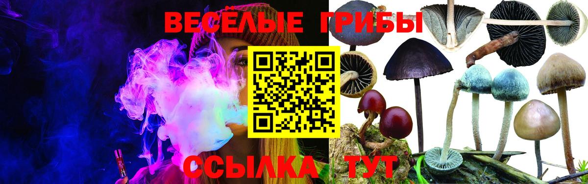 Псилоцибиновые грибы Magic Shrooms  Вход с VPN  Псилоцибиновые грибы мухоморы  Псков 
